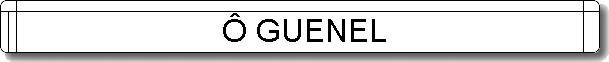  GUENEL